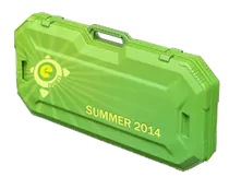 eSports 2014 Summer Case