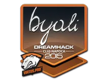 byali | Cluj-Napoca 2015