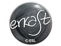 erkaSt | Katowice 2019