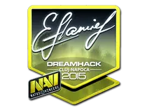 flamie (Foil) | Cluj-Napoca 2015