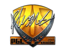 flusha (Foil) | Krakow 2017