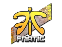 Fnatic (Holo) | Katowice 2015