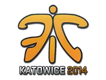Fnatic | Katowice 2014