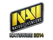 Natus Vincere | Katowice 2014