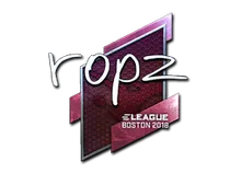 ropz (Foil) | Boston 2018