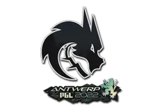 Team Spirit | Antwerp 2022