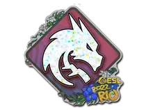Team Spirit (Glitter) | Rio 2022