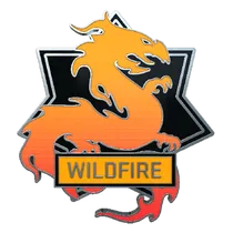 Wildfire Pin