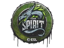 Team Spirit | Katowice 2019