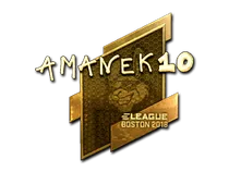 AmaNEk (Gold) | Boston 2018