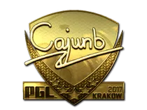 cajunb (Gold) | Krakow 2017