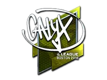 Calyx (Foil) | Boston 2018