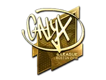 Calyx (Gold) | Boston 2018