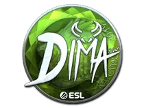 Dima (Foil) | Katowice 2019