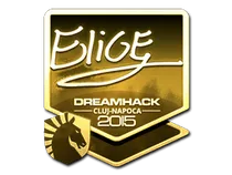 EliGE (Gold) | Cluj-Napoca 2015