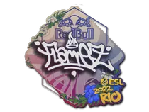FlameZ | Rio 2022