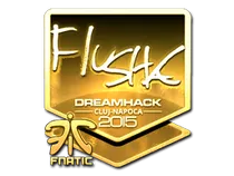 flusha (Gold) | Cluj-Napoca 2015