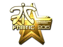 Fnatic (Gold) | Cluj-Napoca 2015