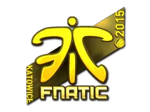 Fnatic (Gold) | Katowice 2015