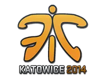 Fnatic | Katowice 2014