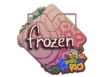 frozen | Rio 2022