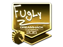 FugLy (Gold) | Cluj-Napoca 2015
