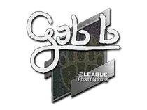 gob b | Boston 2018