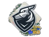 Grayhound Gaming | Rio 2022