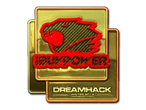 iBUYPOWER (Gold) | DreamHack 2014