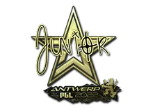 junior (Gold) | Antwerp 2022