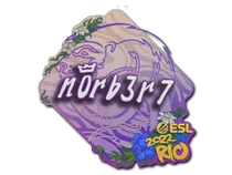 n0rb3r7 | Rio 2022