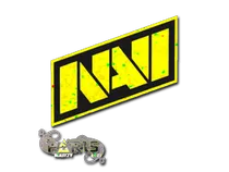 Natus Vincere (Glitter) | Paris 2023