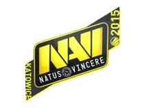 Natus Vincere | Katowice 2015