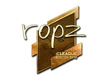 ropz (Gold) | Boston 2018