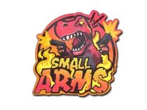 Small Arms