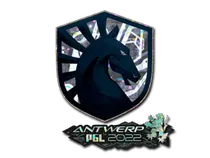 Team Liquid (Glitter) | Antwerp 2022