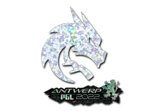 Team Spirit (Glitter) | Antwerp 2022