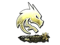 Team Spirit (Gold) | Antwerp 2022