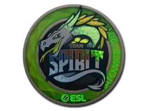 Team Spirit (Holo) | Katowice 2019