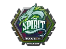 Team Spirit (Holo) | London 2018