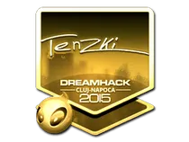 tenzki (Gold) | Cluj-Napoca 2015