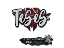 TeSeS | Antwerp 2022