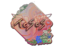 TeSeS (Holo) | Rio 2022