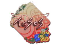 TeSeS | Rio 2022