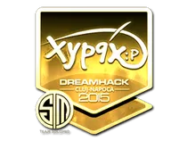 Xyp9x (Gold) | Cluj-Napoca 2015