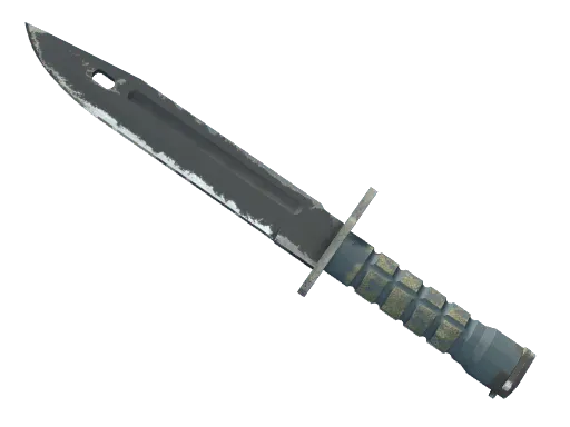 ★ StatTrak™ Bayonet | Night (Well-Worn)