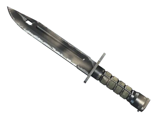 ★ Bayonet | Scorched (Well-Worn)