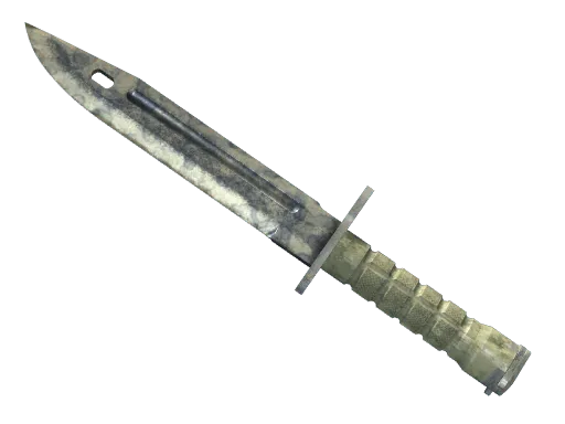 ★ Bayonet | Stained (Battle-Scarred)