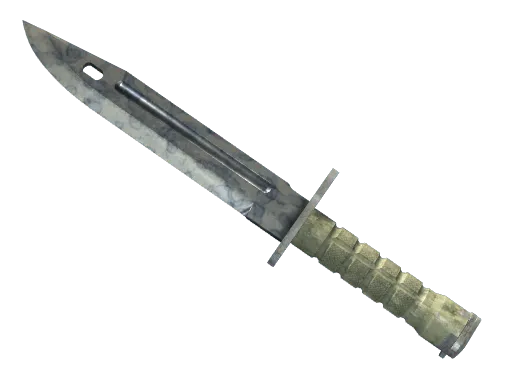 ★ StatTrak™ Bayonet | Stained (Field-Tested)