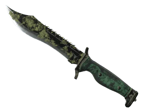 ★ Bowie Knife | Boreal Forest (Battle-Scarred)